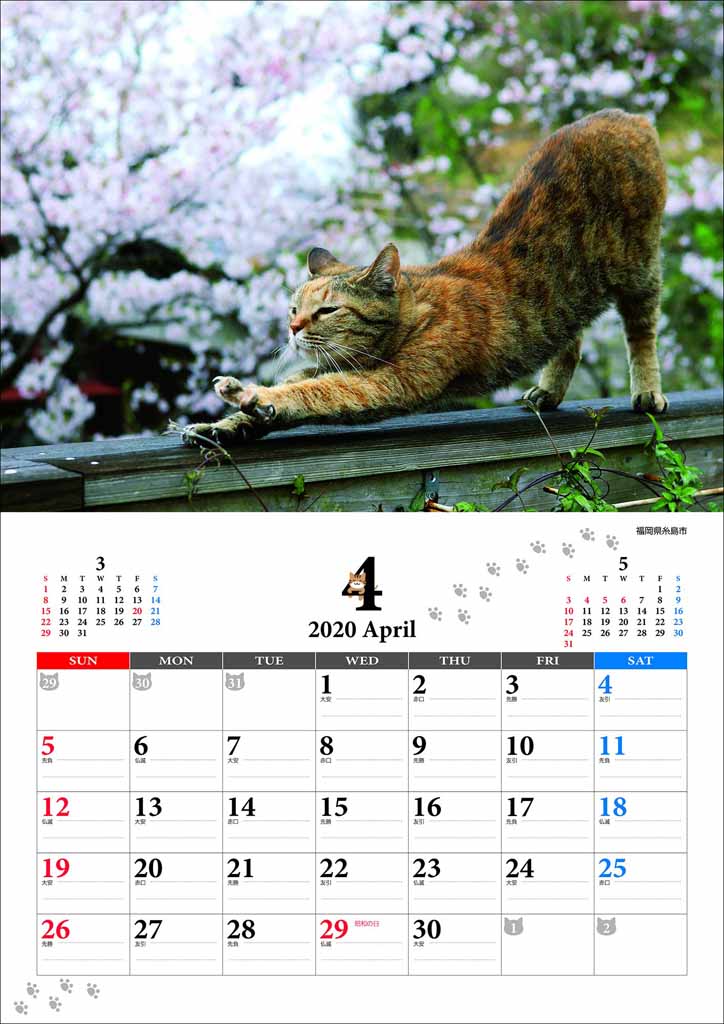 尾崎修二が福岡県糸島市で撮影した猫の写真 by カレンダー「猫どころ2020」