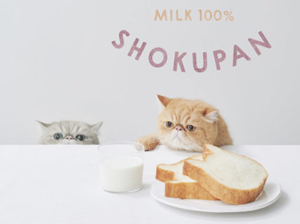 ネコの形をした高級食パン専門店「ねこねこ食パン」が関東＆関西エリアに初出店ニャ！