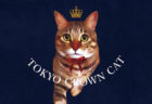 猫をモチーフにした新しい東京土産！スイーツブランド「TOKYO CROWN CAT」が誕生