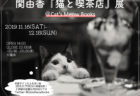 写真集「猫と喫茶店」の展示会が11/16より開催！関由香さんのサイン会や作品解説もあるニャ