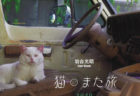 今年も岩合さんの新作ネコ写真がアサヒカメラの表紙をジャック！恒例のネコカレンダーもあるニャ