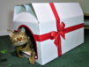 猫が中に入れば特別な贈り物に早変わり！キュートな「プレゼント型の爪とぎ猫ハウス」が誕生