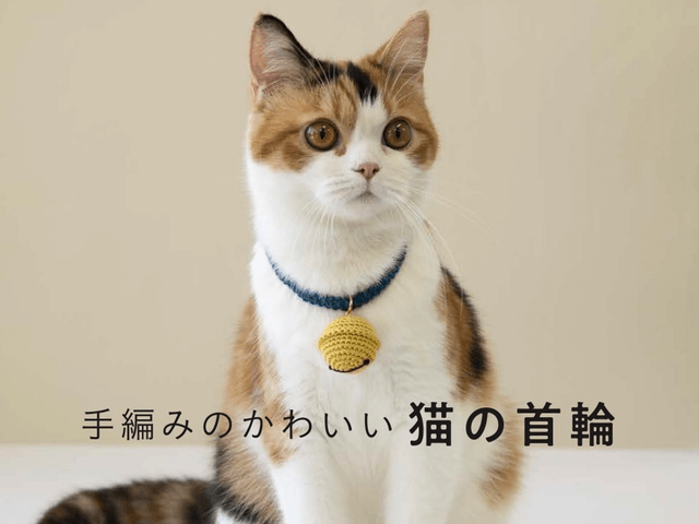 確かな ポーター 付録 猫 首輪 ミサンガ 作り方 Shiaseminary Org