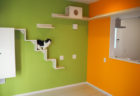 こんな家に猫と暮らしてみたいニャ！ねこ検定の監修者が設計したこだわりの分譲住宅が公開