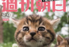 週刊朝日が3年連続で「ネコ特集号」を発売！今年は付録が増量＆表紙は岩合さんの猫写真ニャ