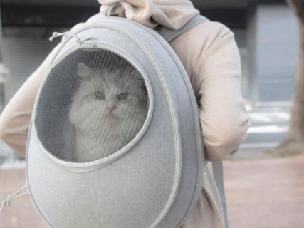 ニャンとも可愛いたまご型♪ 台湾で人気のリュック型の猫ハウス「EGGY」が日本初上陸