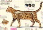 ニャンと460種類の猫・犬・小動物を収録！学研の図鑑LIVEシリーズ最新刊はBBCの映像付き