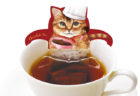 紅茶風呂に浸かった猫が可愛すぎる♪ 人気のティーバッグ「キャットカフェ」シリーズから新作が登場