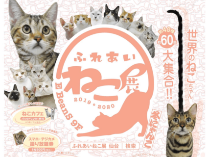 年末年始は世界中の珍しい猫で癒やされる「ふれあいねこ展」仙台と山口で1月まで開催中