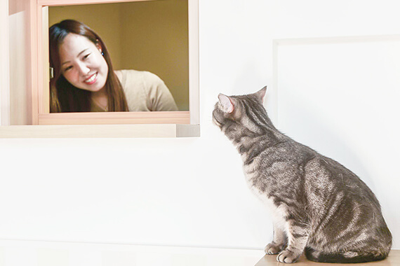 キッチンの窓からリビングの猫の話しかける様子 by 猫と暮らせる2階建ての賃貸住宅「猫の家」