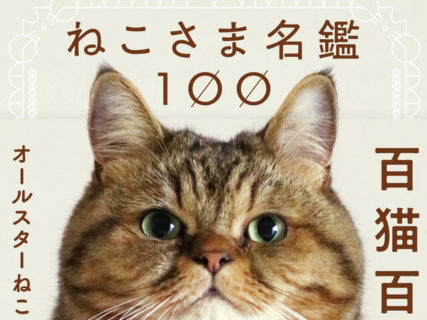 こんな写真集を待っていたニャ！人気猫のプロフィールが分かる「ねこさま名鑑100」