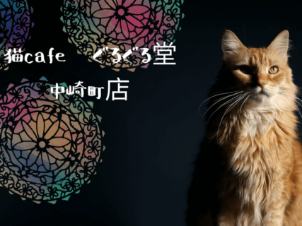 南アジアのエスニックな雰囲気がただよう猫カフェ「ぐるぐる堂」大阪・中崎町にオープン