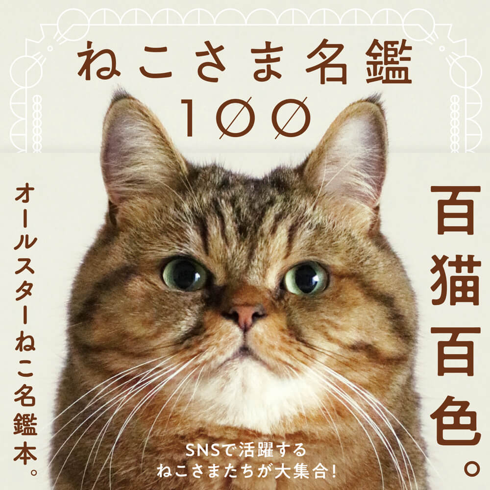 SNSを中心に活躍している100匹の猫の写真とプロフィールを収録した写真集「ねこさま名鑑100」