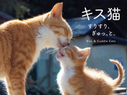 猫のラブラブな姿に癒やされるニャ〜♪ 島猫の愛情表現ばかりを収録した写真集「キス猫」