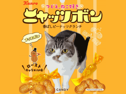 ロングセラー菓子のナッツボンから猫バージョンの「ニャッツボン」が登場！コンビニ限定で発売