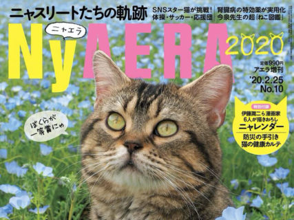 表紙は岩合さんが撮影したあの人気猫！一冊丸ごと猫だらけの雑誌「NyAERA(ニャエラ)」最新号が発売