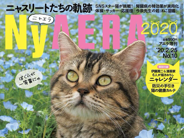 表紙は岩合さんが撮影したあの人気猫 一冊丸ごと猫だらけの雑誌 Nyaera ニャエラ 最新号が発売 Cat Press キャットプレス