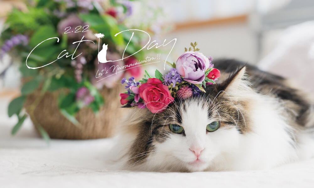 Hibiya-Kadan Style（ヒビヤカダンスタイル）の猫の日企画メインビジュアル