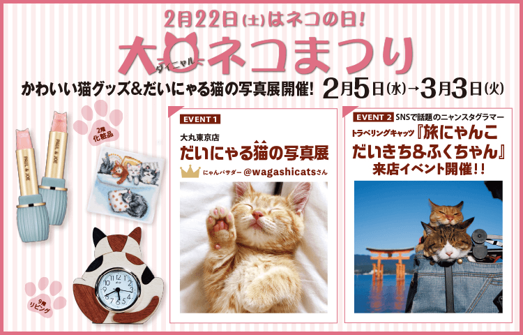 大丸東京店の猫イベント「だいまる猫まつり」のメインビジュアル