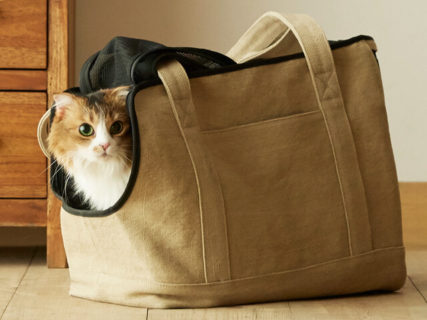 猫とお出かけするのが楽しくなりそうニャ〜♪ 軽くておしゃれな「ネコキャリーバッグ(Neko Carry Bag)」