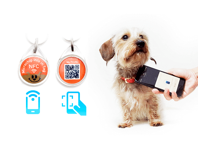 スマホをかざすだけで犬猫の情報を読み取れる ペット用迷子札 Pawbell パウベル ガジェット通信 Getnews