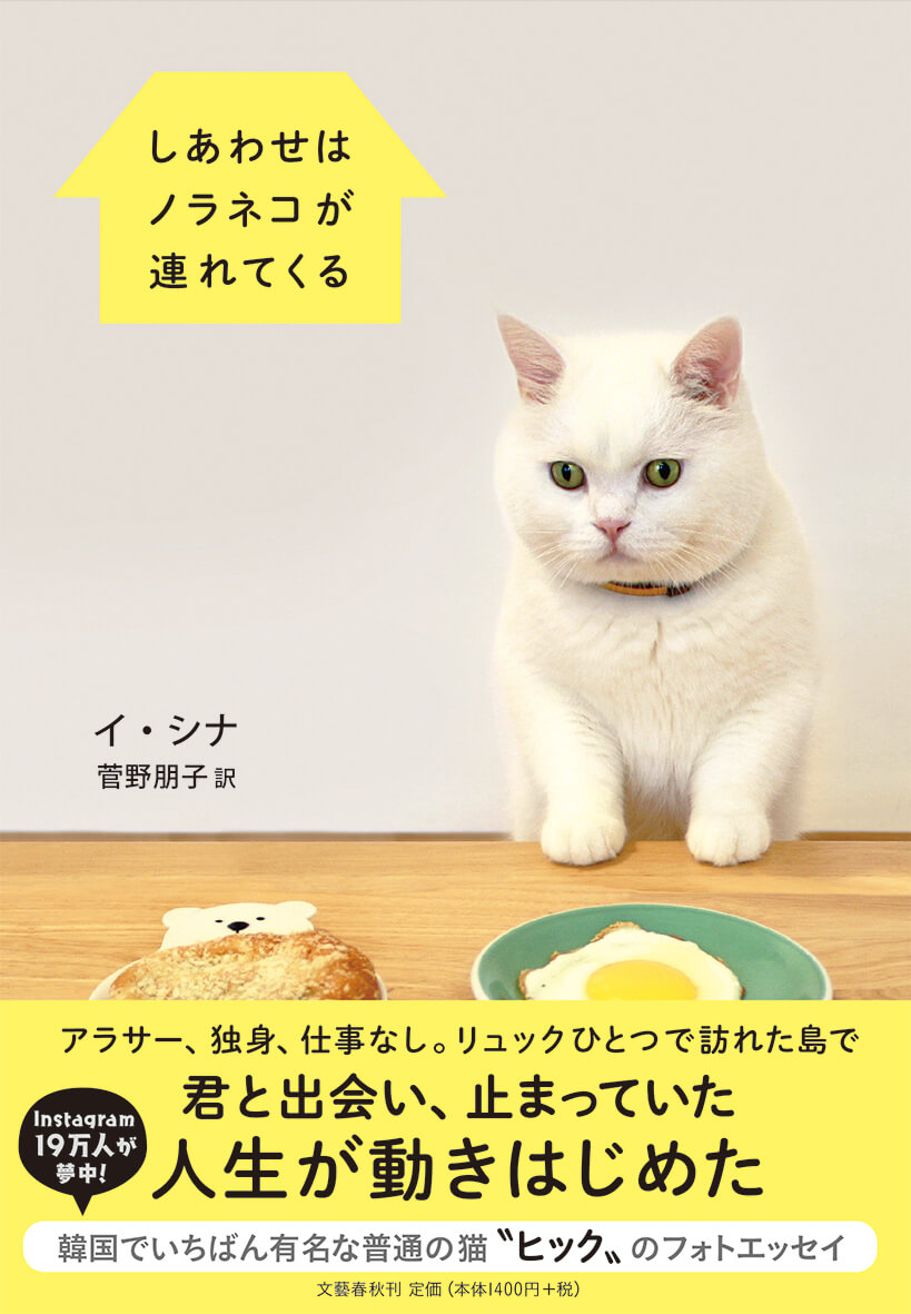 韓国でいちばん有名な猫 ヒックのフォトエッセイ しあわせはノラネコが連れてくる Cat Press キャットプレス