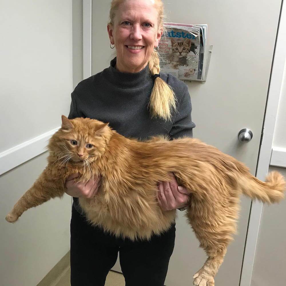 体重16キロ超えの大柄猫「キング」と飼い主さんのロビンさん