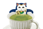 招き猫も緑茶風呂でリラックス♪ 人気のネコ型ティーバッグシリーズから初の和風バージョンが登場