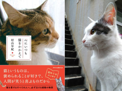 すべての愛猫家へ贈る感動の一冊、作家・村山早紀さんの新刊「心にいつも猫をかかえて」