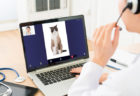 猫も自宅で診療する時代に…！？飼い主と動物病院をオンラインで繋ぐシステム「みるペット」