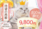 話題のスマート猫トイレ「トレッタ」が9,800円で発売！4/10(金)の20時から300台限定ニャ