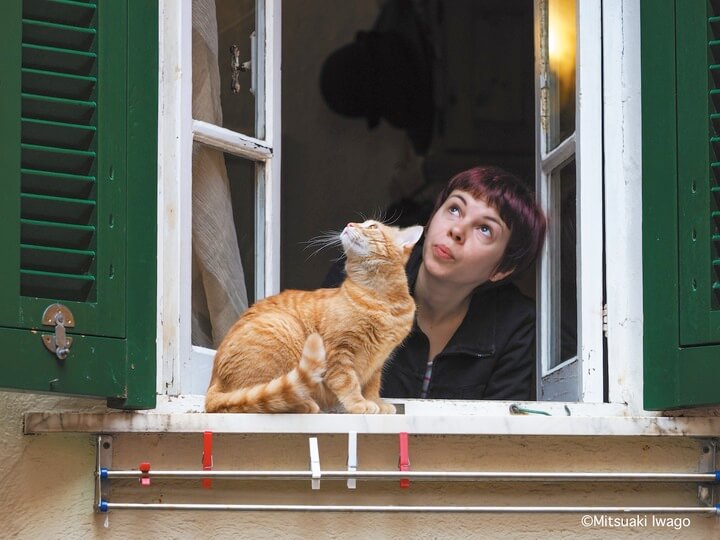 イタリア・チンクエテッレで暮らすロシア人女性と猫の写真 by 岩合光昭写真集「スタンド・バイ・ニャー」