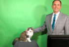 アメリカで猫の気象予報士「ベティちゃん」が誕生！飼い主さんのテレワークで思わぬテレビ出演