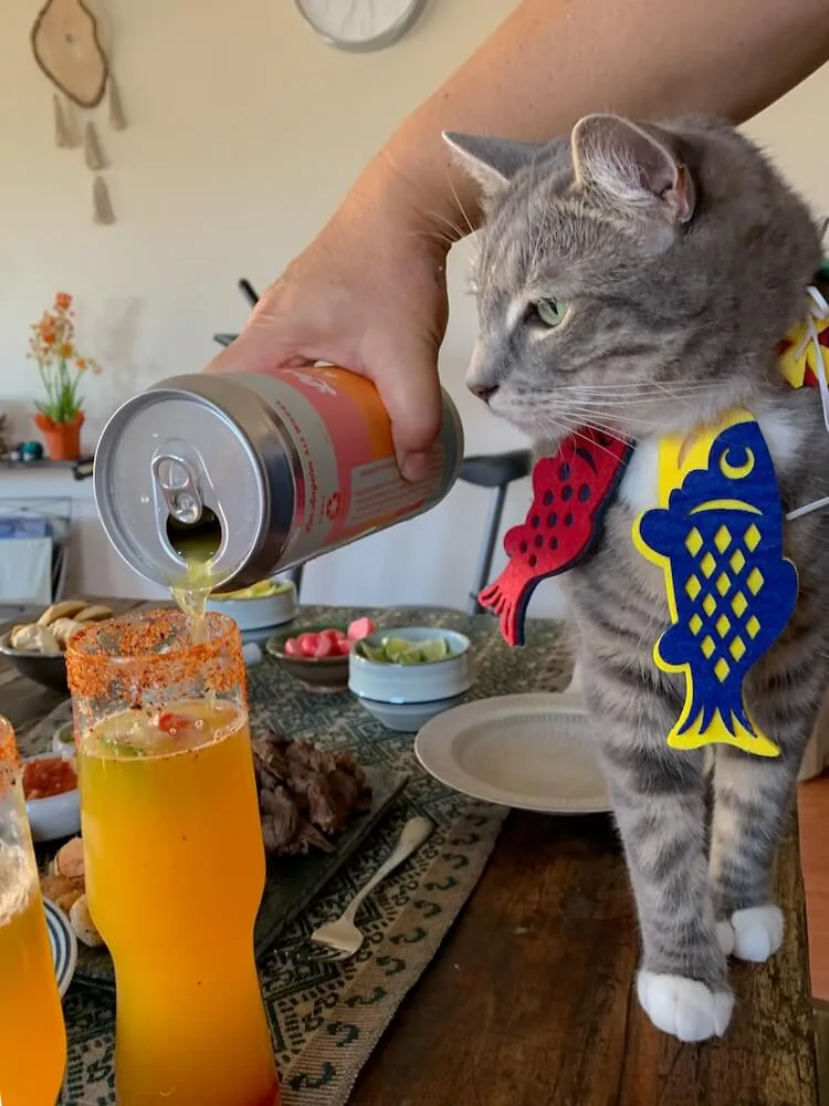 酒瓶が似合う猫は誰ですかニャ 猫ラベルの芋焼酎がフォトコンテストの入賞作品を発表 Cat Press