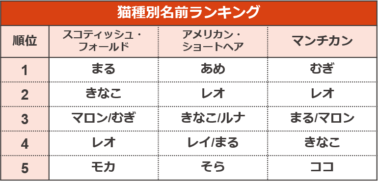 5年連続で1位に輝いたオス猫の名前は レオ くんに決定 19年度のランキングが公開 Cat Press キャットプレス