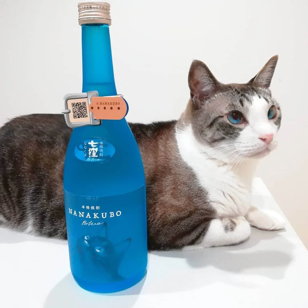 酒瓶が似合う猫は誰ですかニャ 猫ラベルの芋焼酎がフォトコンテストの入賞作品を発表 Cat Press キャットプレス 酒瓶が似合う猫は誰ですかニャ 猫ラベルの芋焼酎がフォトコンテストの入賞作品を発表 Cat Press キャットプレス