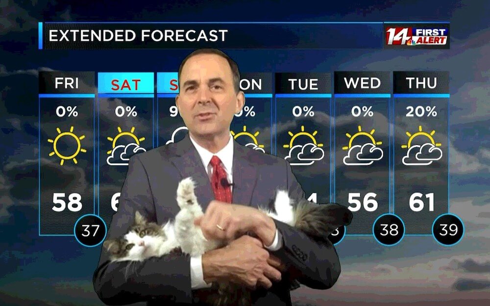 自宅からテレワークで天気予報を解説しながら愛猫のベティを抱っこするジェフ・ライオンズ氏