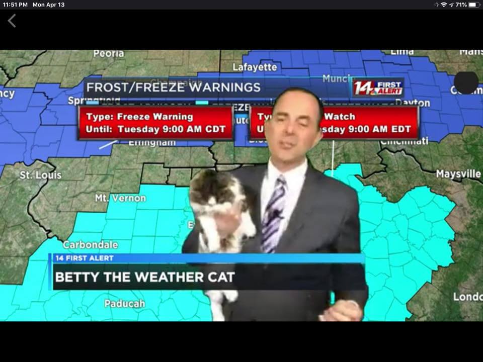 テレビ番組で天気予報の解説しながら愛猫のベティ（Betty）を抱っこするジェフ・ライオンズ（Jeff Lyons）