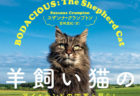 世界ネコ歩きにも登場！アイルランドで最も有名な猫の自伝「羊飼い猫の日記」日本語版が刊行