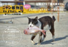 猫イベントも再開の動きが始まる、ねこ写真展「ニャン都物語 mini」神戸の猫カフェで開催