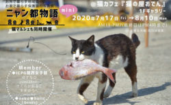 猫イベントも再開の動きが始まる、ねこ写真展「ニャン都物語 mini」神戸の猫カフェで開催