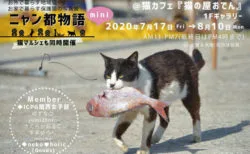 北海道の苫小牧に 初の猫カフェ ニャンコ リズム が開店 Cat Press キャットプレス