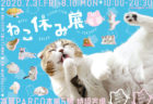 人気猫が集うイベント「ねこ休み展」も再開決定ニャ！7/31から福岡で4年ぶりに開催