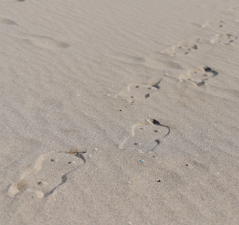 ネコ型のサンダル「にゃらげた」で砂浜を歩いた後の足跡イメージ