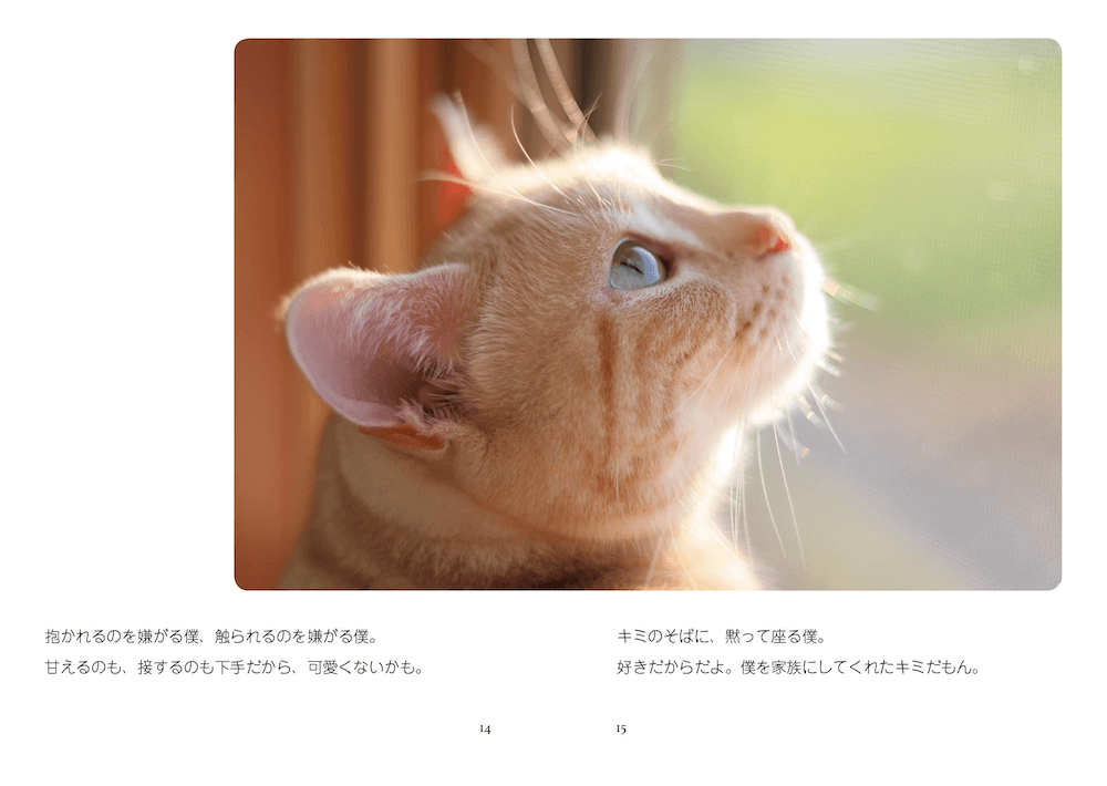 人と猫が一緒に幸せになれますように 猫愛あふれる写真にポエムを添えた写真集 猫は家族 Cat Press キャットプレス