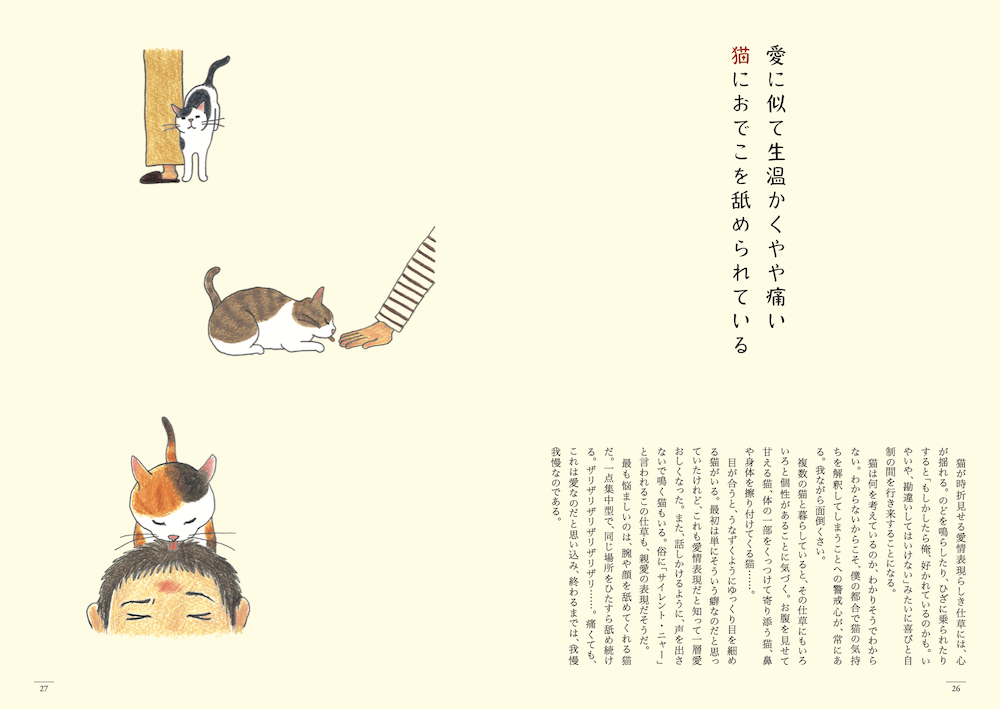 世界初 猫の短歌を詠む歌人 仁尾智さんによる短歌 エッセイ集 猫のいる家に帰りたい Cat Press キャットプレス