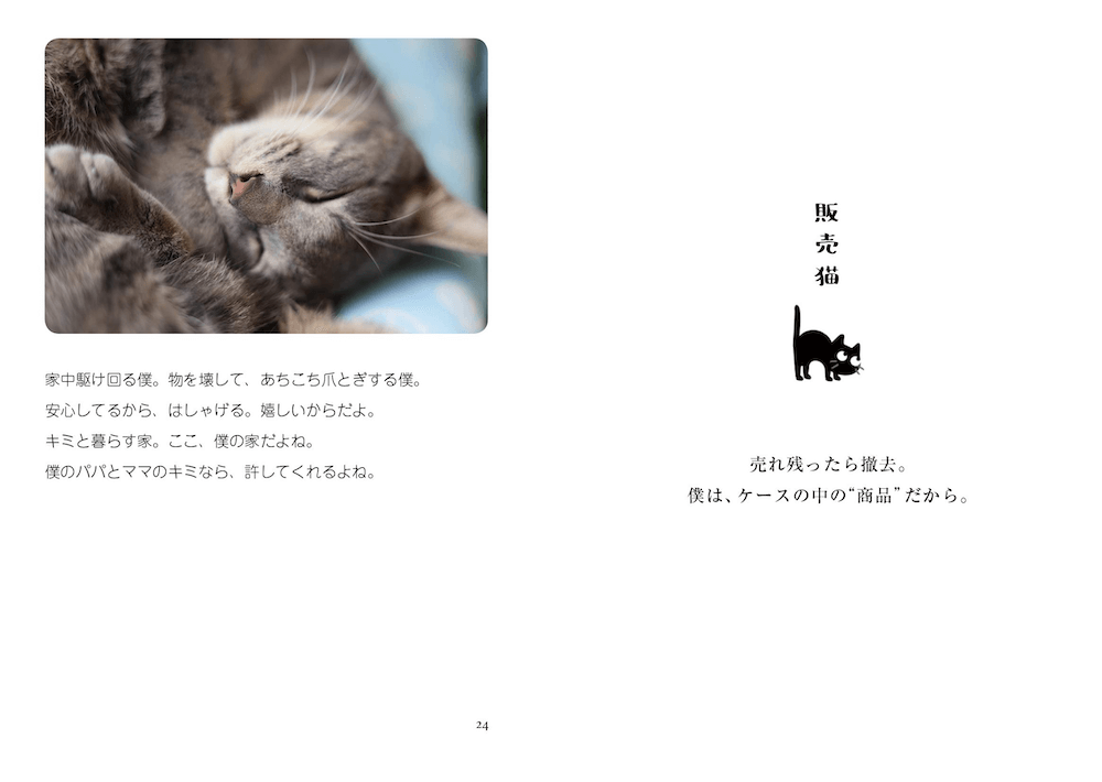 人と猫が一緒に幸せになれますように 猫愛あふれる写真にポエムを添えた写真集 猫は家族 Cat Press キャットプレス