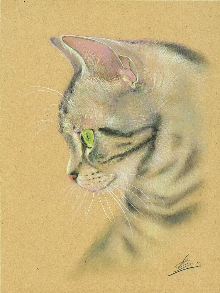 目羅健嗣 絵画 原画 猫 beneprojetodevida.com.br