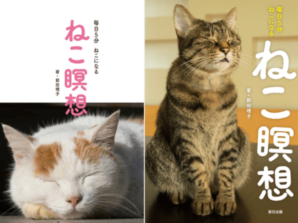 猫をイメージして5分でリフレッシュ！猫の写真を眺めながら瞑想を学べる書籍「ねこ瞑想」