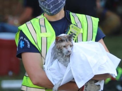 取り残された猫とモルモットを消防士が救出！米国メリーランド州で起こった火事の一部始終